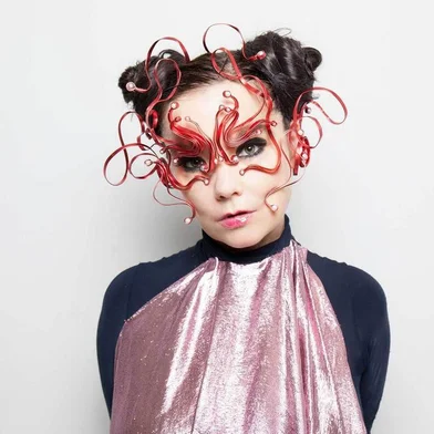bjork, donna, cantora
