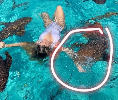 Influencer é mordida por tubarão ao fazer foto no mar das Bahamas | Donna