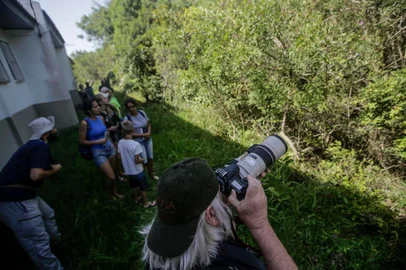  IMBÉ, RS, BRASIL - 2020.01.24 - Ceclimar realiza passeios e trilha para observação de de aves litorâneas. (Foto: André Ávila/Agencia RBS)<!-- NICAID(14397941) -->