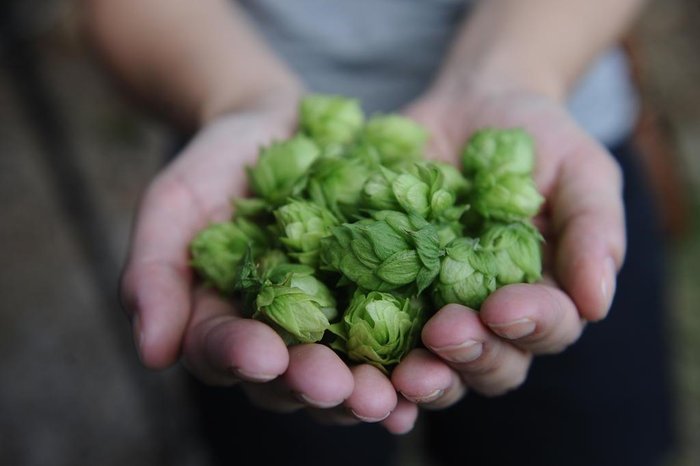 Antonio Valiente / Agencia RBS