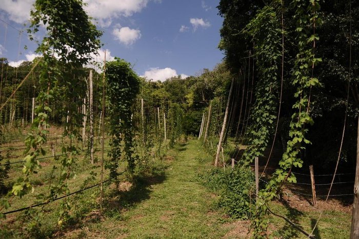 Antonio Valiente / Agencia RBS