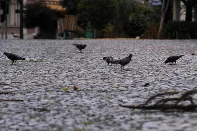  CAXIAS DO SUL, RS, BRASIL, 31/12/2019 - Último dia do ano foi marcado com ruas quase desertas e pancadas de chuva. (Marcelo Casagrande/Agência RBS)