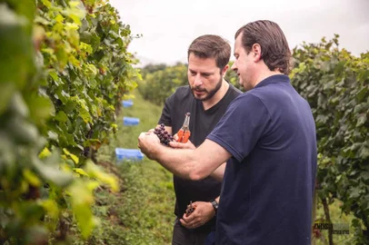 Abertas inscrições para a 7ª turma do Miolo Winemaker Vinho Tinto