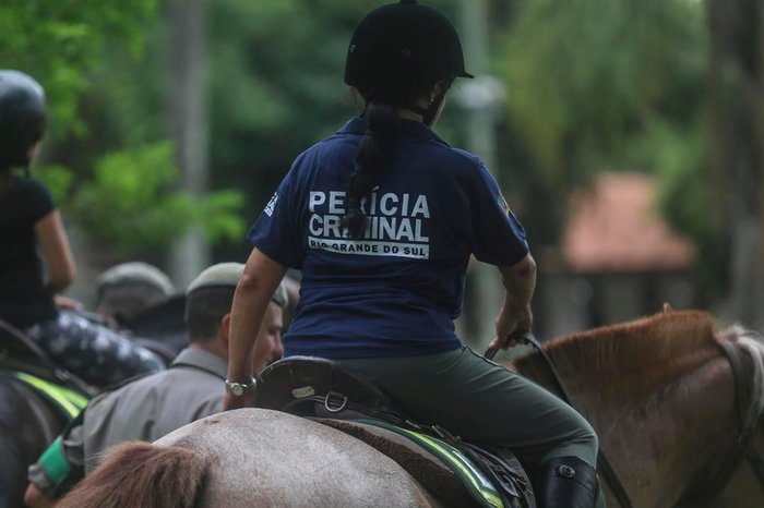 Cavalo pulando(e quebrando)cerca! 