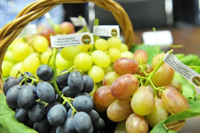 A Secretaria Municipal da Agricultura, Pecuária e Abastecimento (Smapa) entregou na quarta-feira (19) os certificados do Selo de Qualidade a 20 produtores de uva em cultivo protegido no município. A entrega marcou a reestruturação do Programa Selo de Qualidade dos Produtos de Caxias, lançado em 2010 e desenvolvido em parceria com o Sebrae. <!-- NICAID(14426905) -->