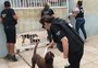Polícia encontra cães congelados em freezer e resgata animais em situação de maus-tratos em Imbé