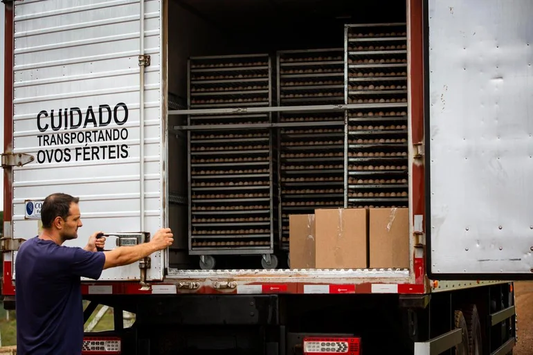 Mateus Bruxel / Agencia RBS