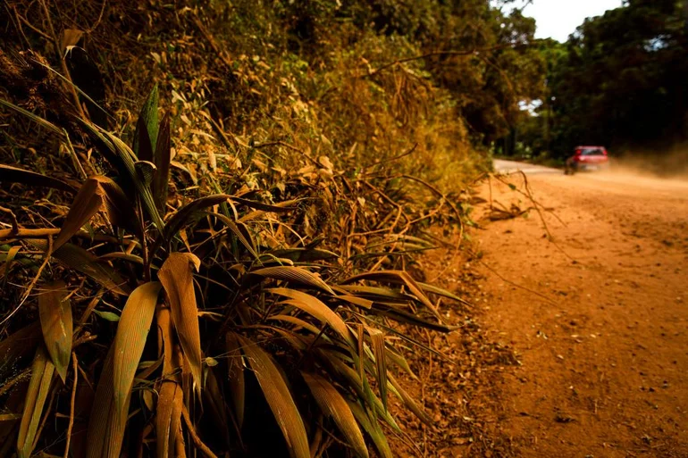 Mateus Bruxel / Agencia RBS