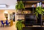 Três plantas para cultivar e decorar a casa