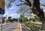 Último trecho da ciclovia da Ipiranga foi finalizado em março