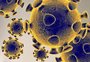 RS registra 341 mortes e mais de 8,5 mil novos casos de coronavírus em 24 horas