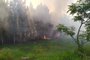 Incêndio atinge Morro Santa Tereza<!-- NICAID(14437540) -->