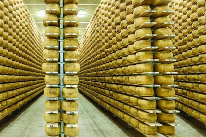 Câmara onde ficam as formas do queijo tipo Grana Gran Formaggio, carro-chefe da marca RAR<!-- NICAID(14443065) -->
