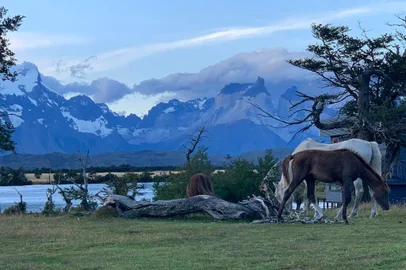 Vista das Torres del Paine no parque nacional de mesmo nome, na Patagônia chilena.<!-- NICAID(14442213) -->
