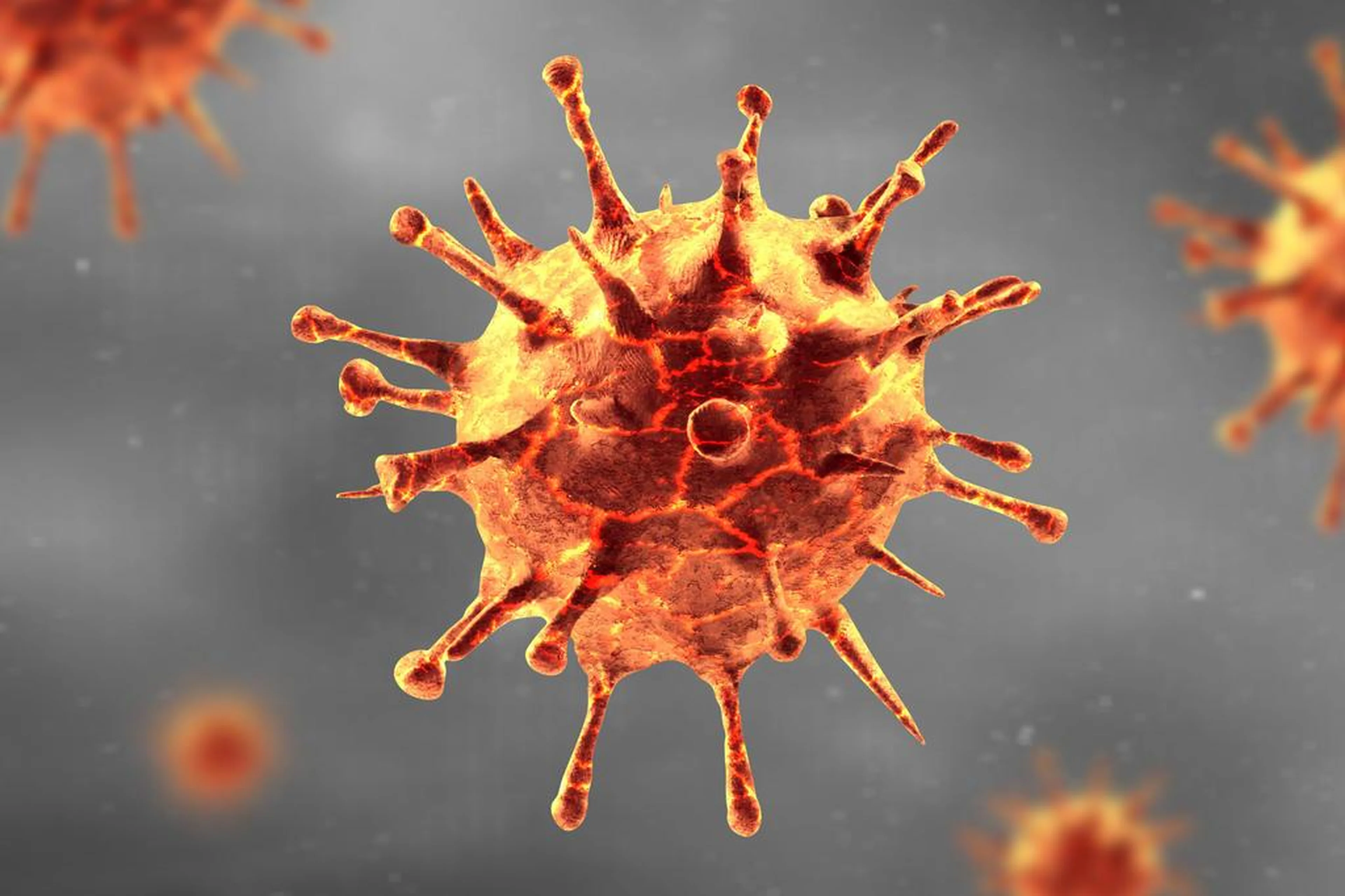 Thaut Images/stock.adobe.com