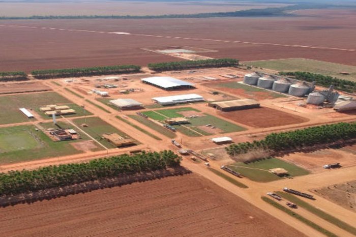 SLC Agrícola / Reprodução SLC Agrícola / Reprodução