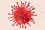 Como funciona o teste de coronavírus<!-- NICAID(14464443) -->