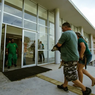 USAV priorizará atendimentos agendados