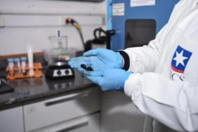 UCS inaugura maior fábrica de grafeno da América Latina atingindo metas de produção<!-- NICAID(14478609) -->