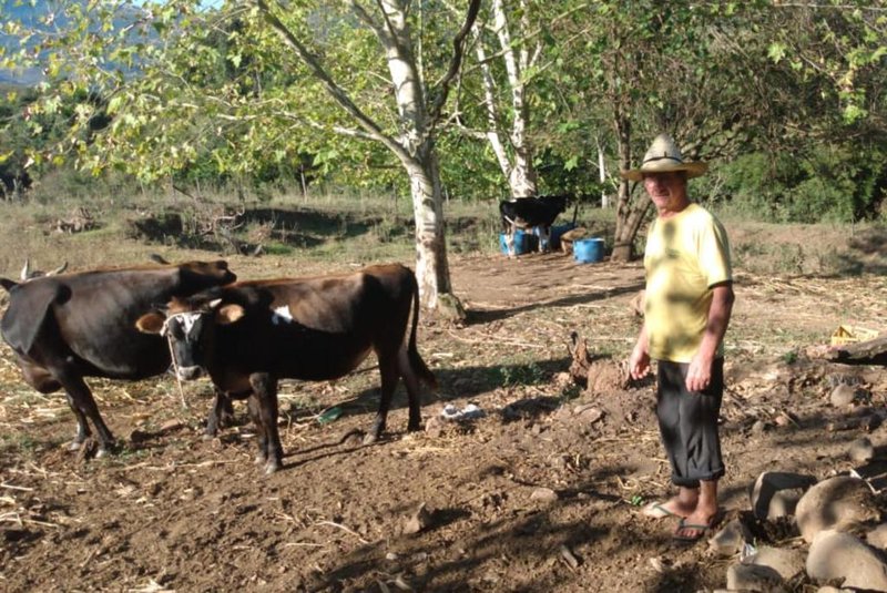 Estiagem se agrava no interior de Caxias do Sul. Falta água para beber. Antônio Rauber, 56 anos, é um dos agricultores que sente efeitos da estiagem.<!-- NICAID(14485023) -->