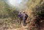 Bombeiros de três cidades tentam controlar incêndio de grandes proporções em Agudo
