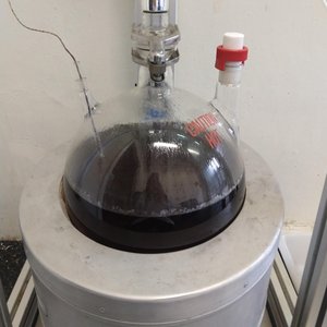 Greice Vanin Oliveira / Divulgação/UFRGS