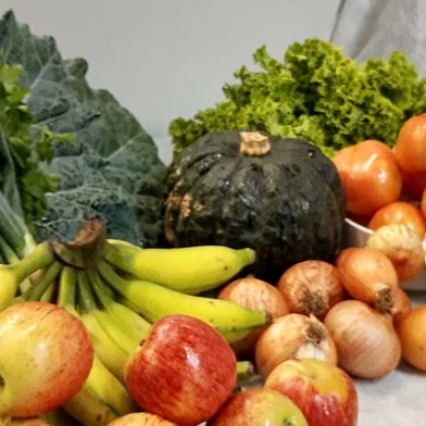 Cooperativa de Agricultores e Agroindústrias Familiares (CAAF) de Caxias do Sul lançou site para venda de hortifrutigranjeiros e produtos de agroindústrias.<!-- NICAID(14498333) -->