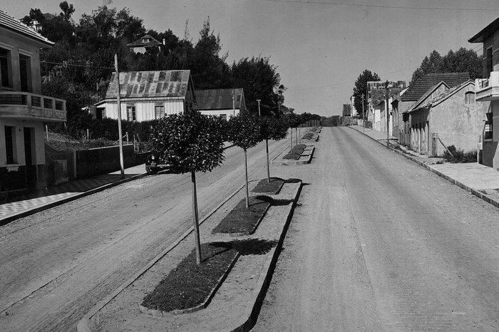 Studio Geremia,Arquivo Histórico Municipal João Spadari Adami / Divulgação