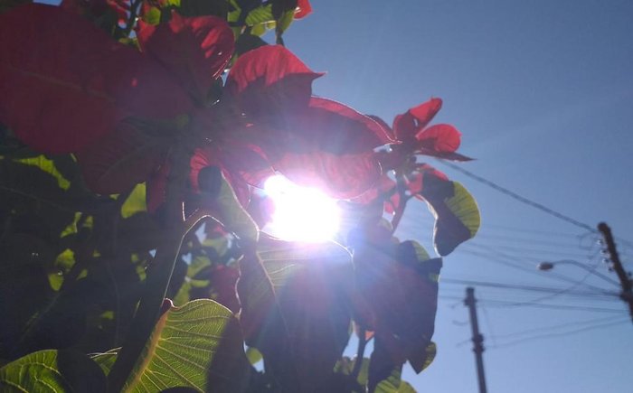 Erechim (RS): Veja previsão do tempo e temperatura hoje