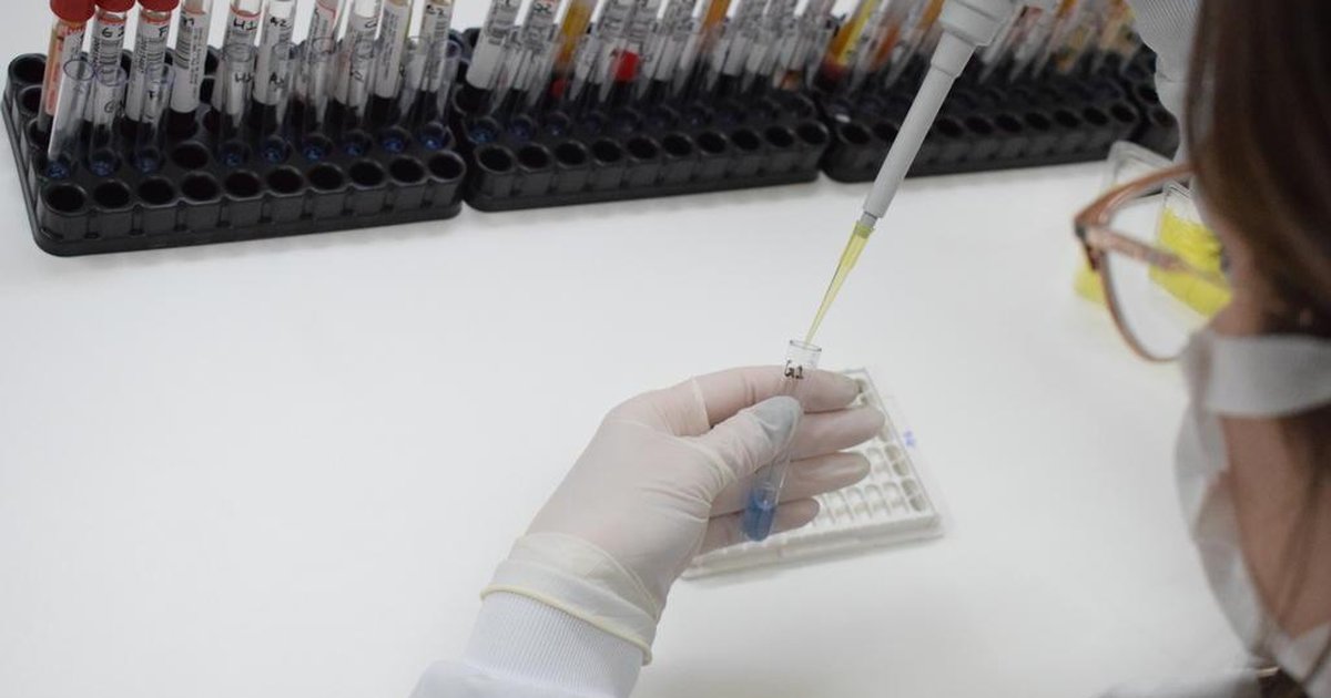 Hospital Tacchini, de Bento Gonçalves, comemora eficácia de novo antiviral | Pioneiro