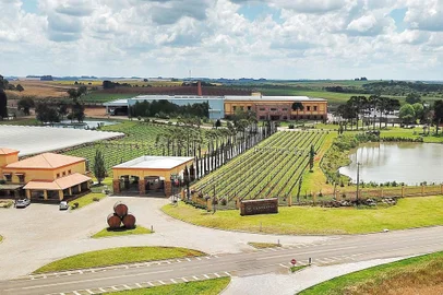 Vinícola Campestre, em Vacaria.<!-- NICAID(14515016) -->