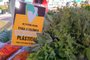 Feira Ecológica de Caxias do Sul lança campanha Feira sem sacola plástica<!-- NICAID(14515226) -->