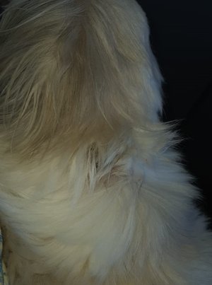 Daisy Vivian / Arquivo pessoal
