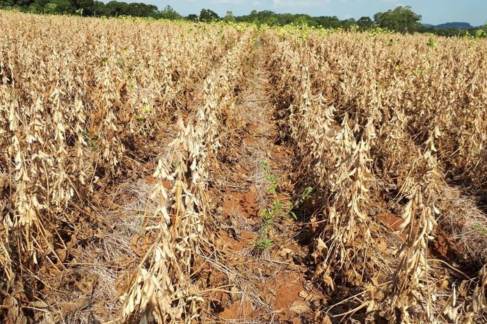 Rodrigo Pommer / Emater
