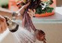 Dicas para higienizar bem alimentos e utensílios de cozinha
