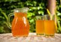 Saiba como preparar a sua kombucha em casa
