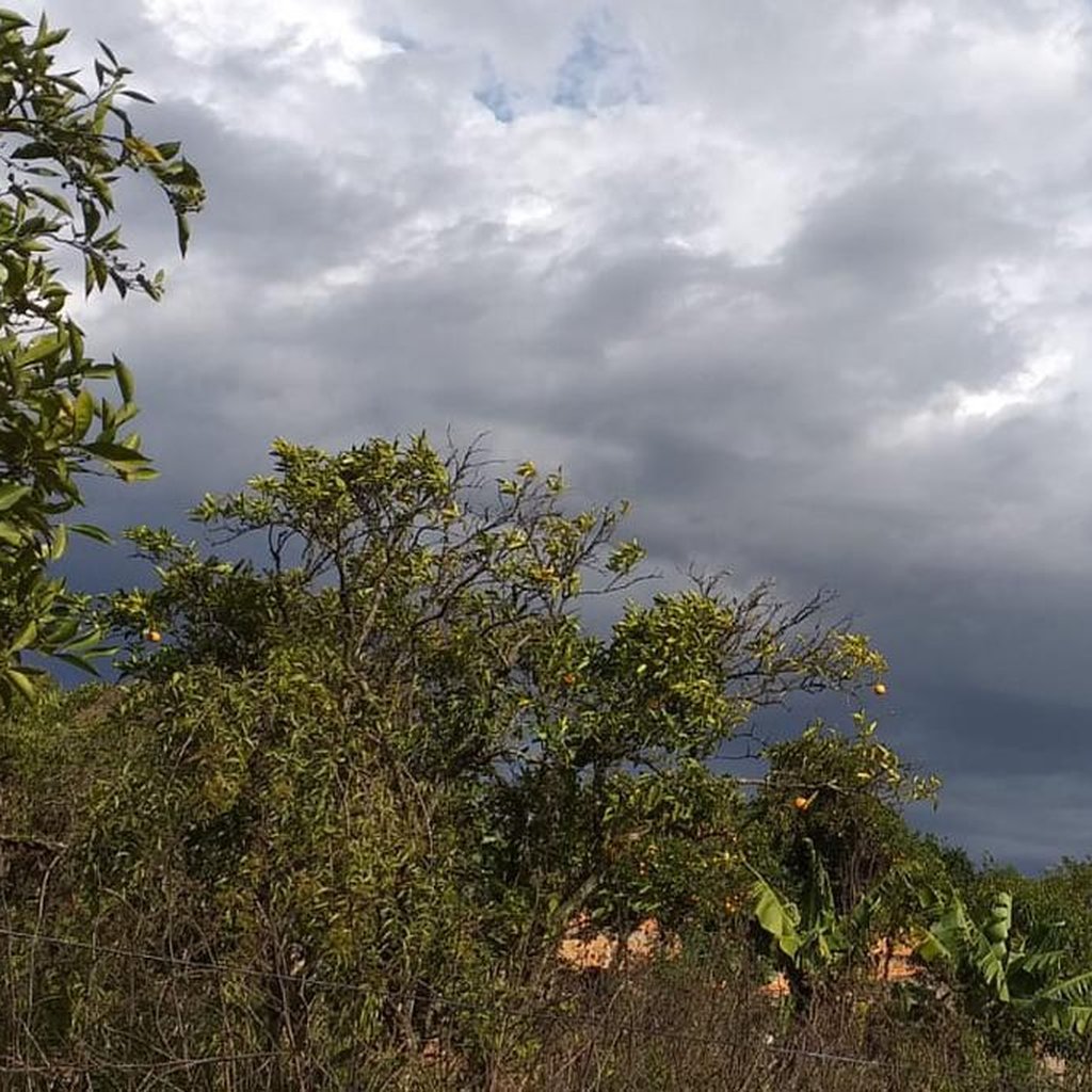 Sexo oral garganta profunda Morena gostosa dando a buceta molhada
