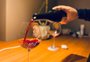 Lugares que estão entregando vinho na porta de casa