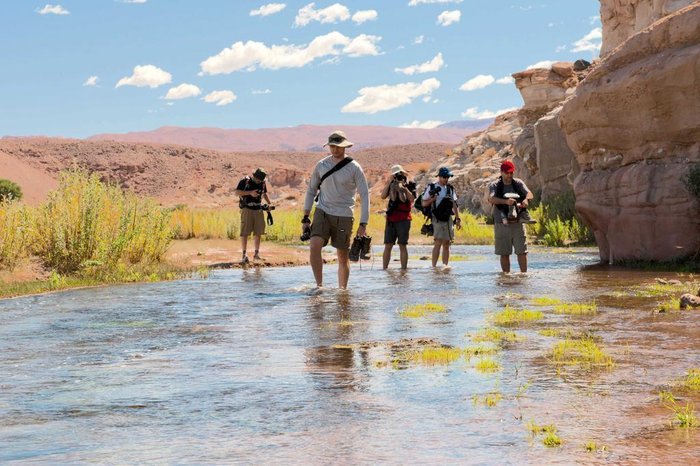 Wilson Leite Filho / Divulgação