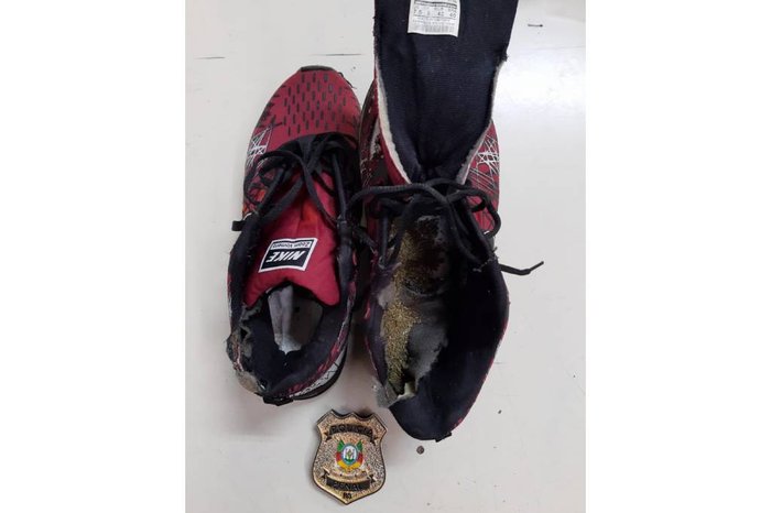 Susepe / Divulgação