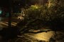 Porto Alegre amanhece com árvores caídas e pontos sem luz após temporal