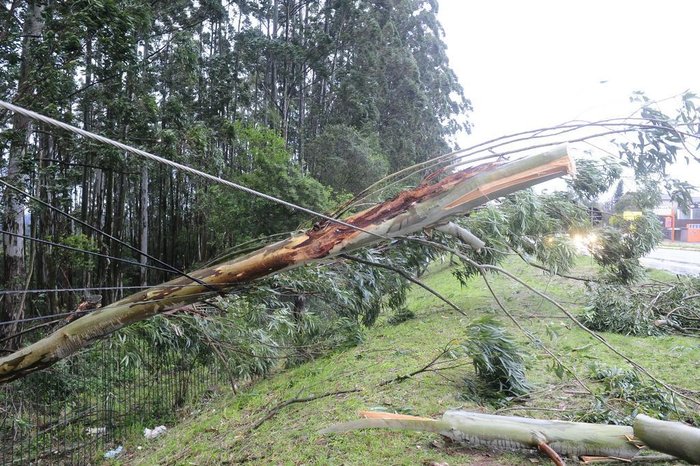Árvores e postes caem ao longo da RS-040, em Viamão