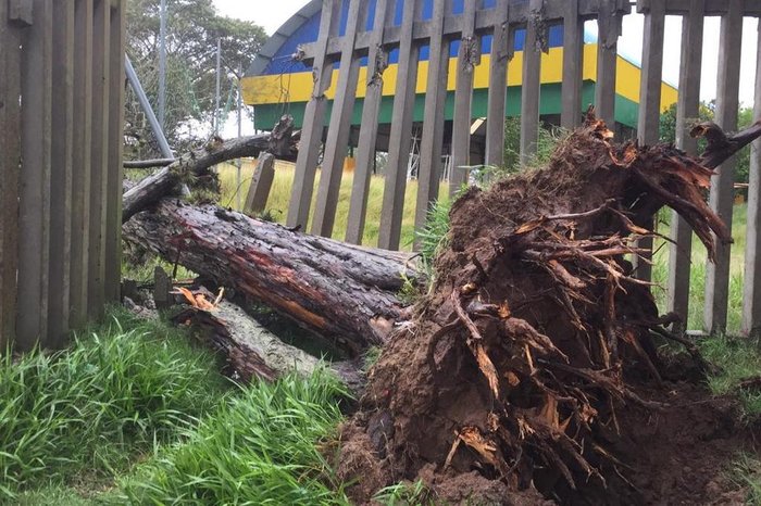 Ronaldo Bernardi / Agencia RBS