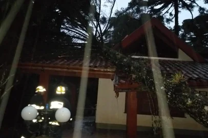 queda de árvore em canela <!-- NICAID(14535096) -->