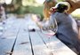 Vinho bom é vinho caro? Respondemos essa e outras perguntas curiosas sobre a bebida