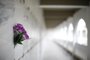 PORTO ALEGRE, RS, BRASIL, 01-11-2016: Flores em sepultura no cemitério da Santa Casa na véspera do Dia de Finados. (Foto: Mateus Bruxel / Agência RBS)<!-- NICAID(12538764) -->