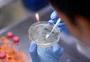 Teve contato com contaminados por coronavírus? Saiba quando tem direito a fazer o teste gratuito em Porto Alegre