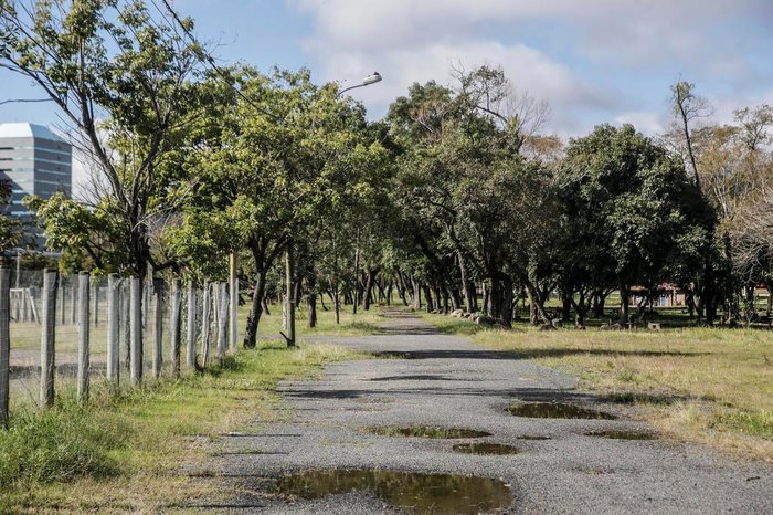 Rodeado por prédios públicos e perto da Orla, Parque Harmonia é visto como local com grande potencial turístico