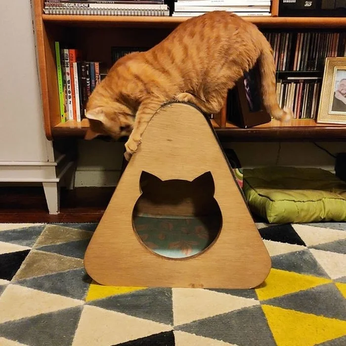 @cmfpetdesign / Instagram Reprodução