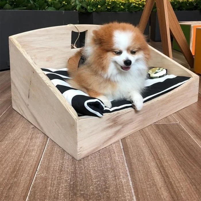 loja.interiore.com.br / Reprodução